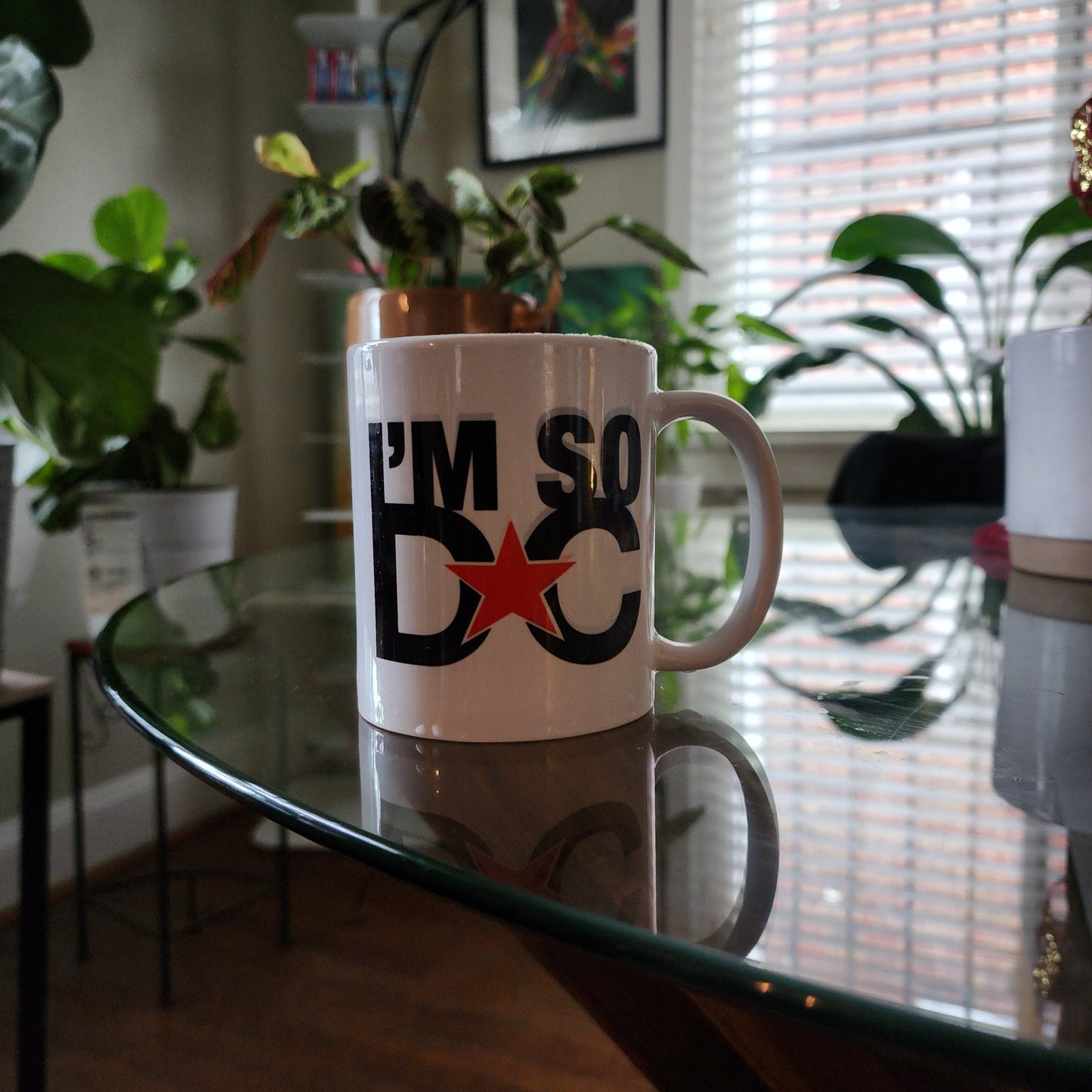 ImSoDC Coffee Mug